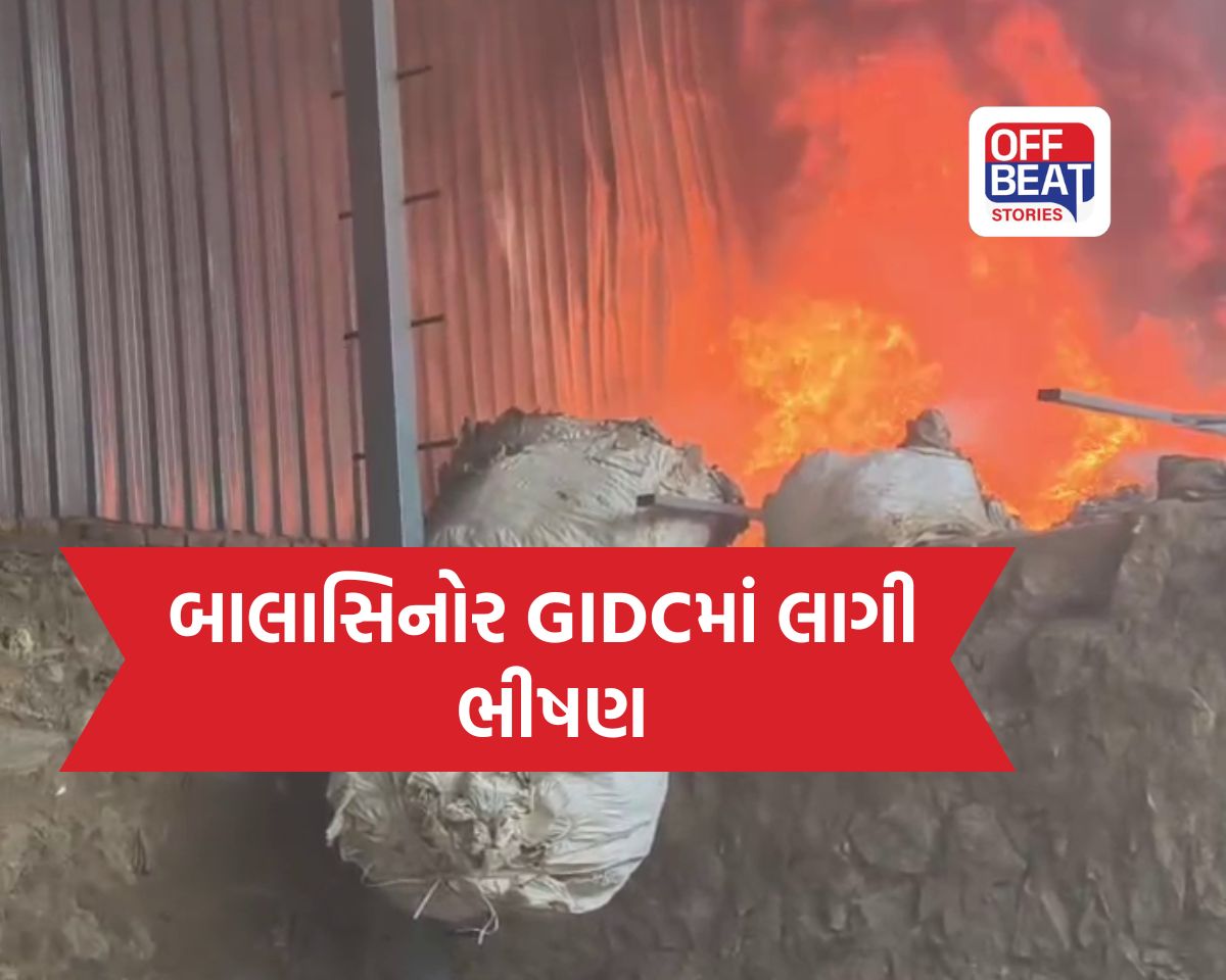 બાલાસિનોર GIDCમાં આગનું તાંડવ