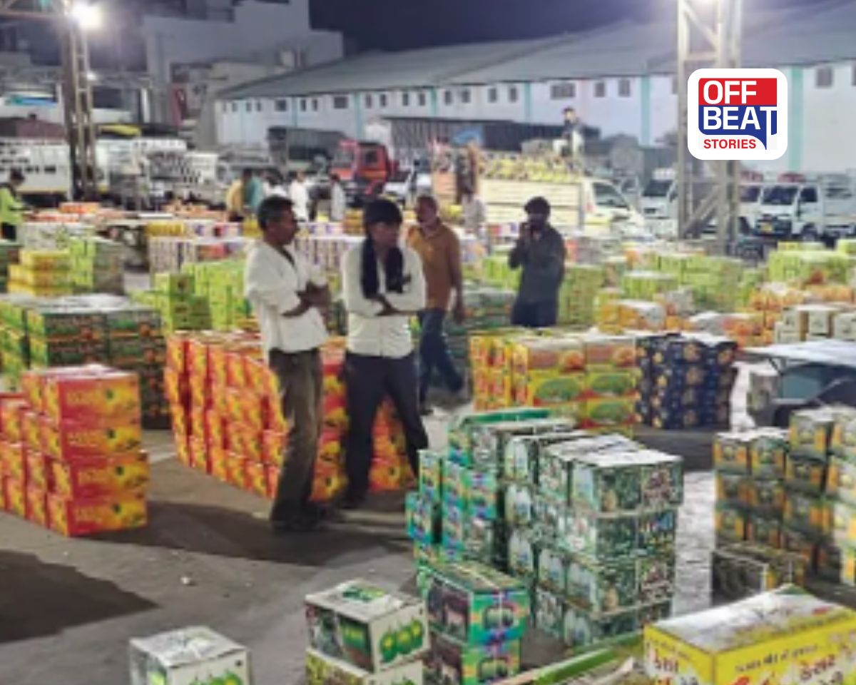 ગોંડલ માર્કેટ યાર્ડમાં કેરીની હરાજી તેજ