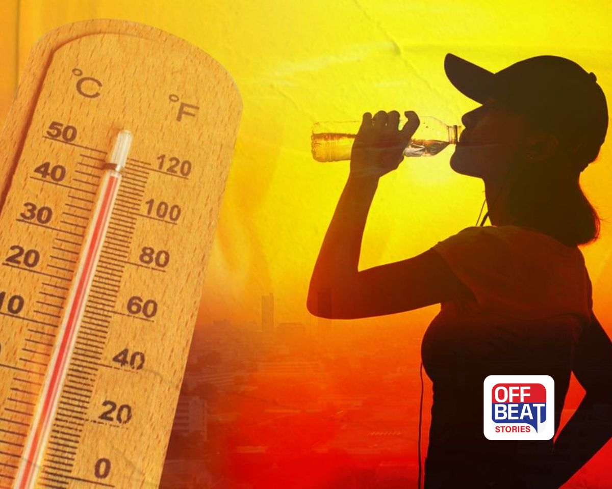 દેશના 11 રાજ્યોમાં હીટવેવનું રેડ એલર્ટ