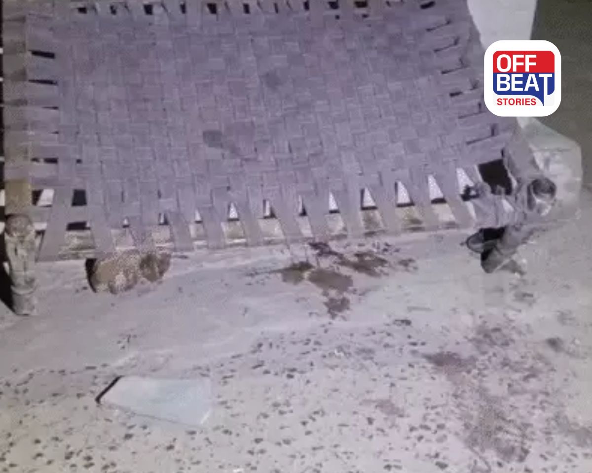 અમદાવાદમાં ઇન્સ્ટાગ્રામે લીધો યુવકનો જીવ!