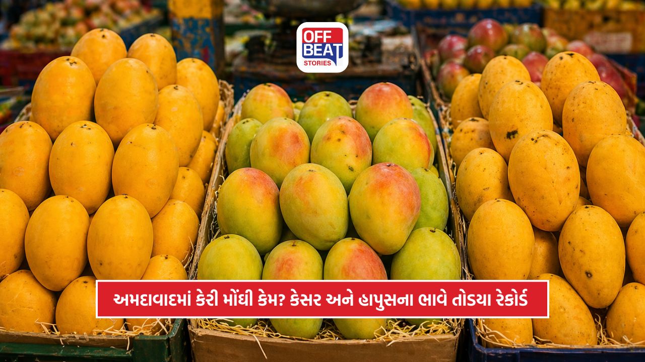 અમદાવાદમાં કેસર અને હાપુસ કેરીના ભાવમાં તોતિંગ ઉછાળો