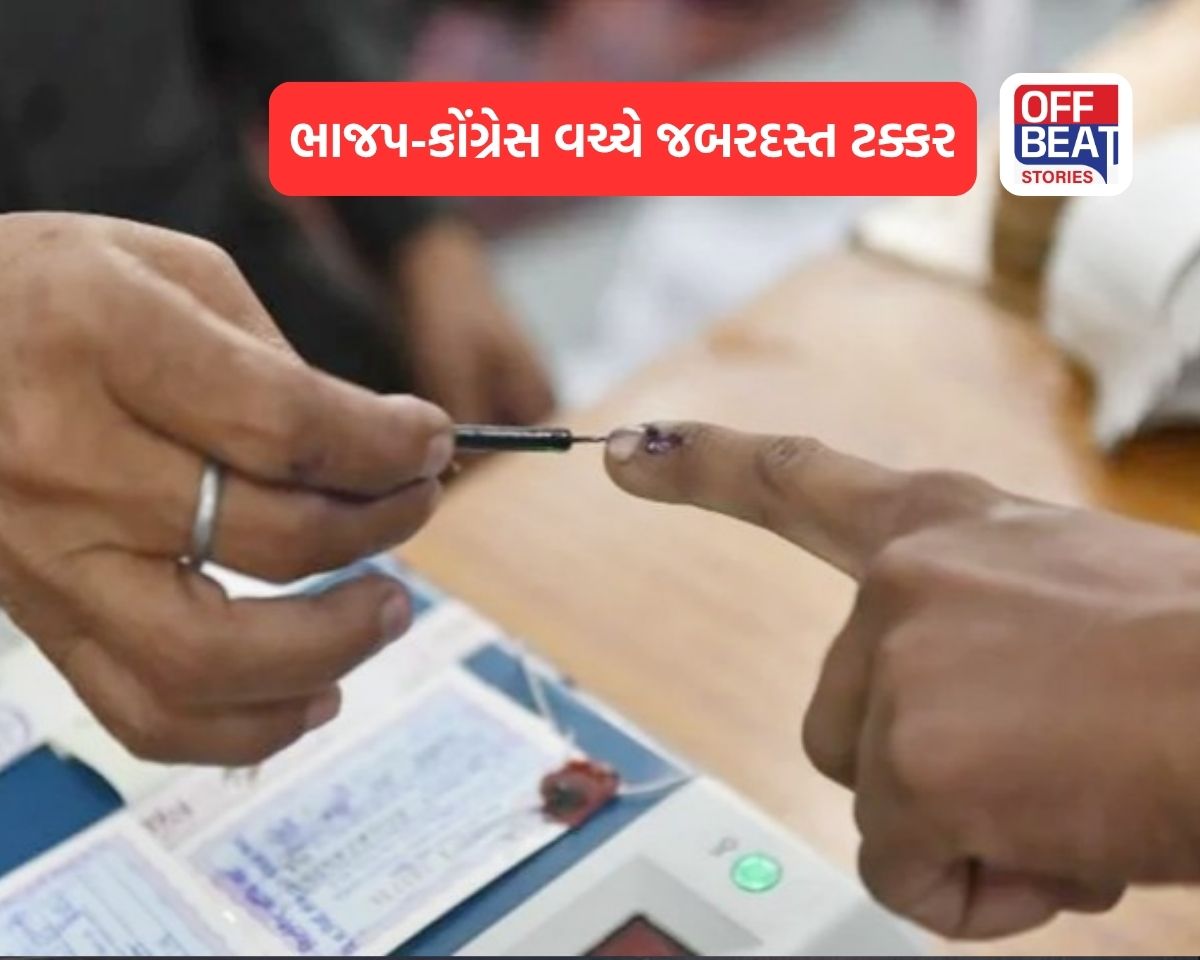 આણંદની ઉમરેઠ વિધાનસભા પેટા ચૂંટણીનું મતદાન શરૂ