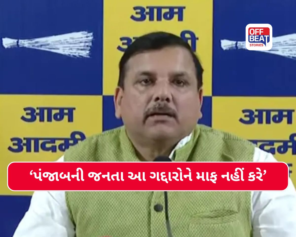 સાંસદોના બળવા પર સંજય સિંહ લાલઘૂમ