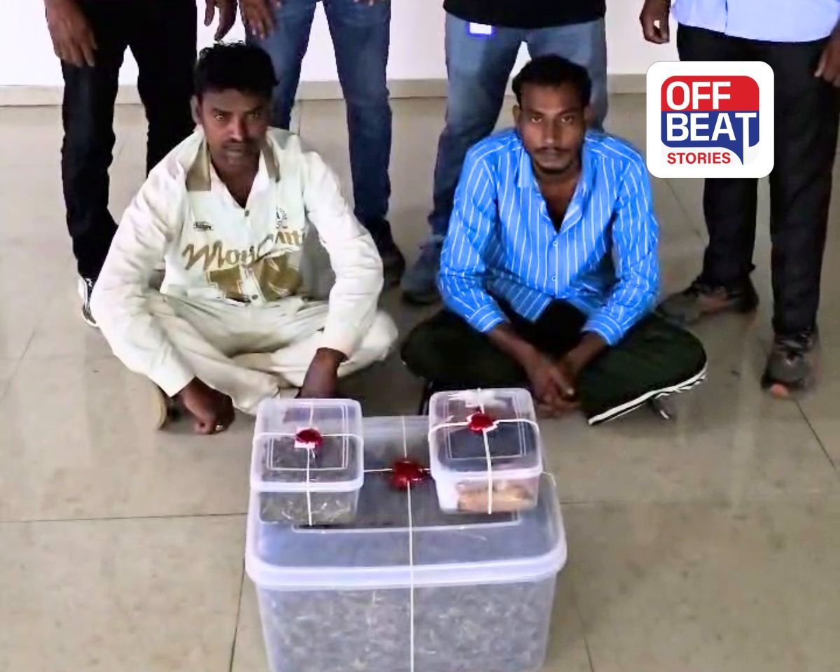 નશાના સોદાગરો સાવધાન!