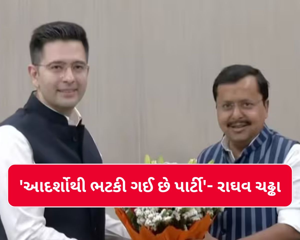 દિલ્હીના રાજકારણમાં મોટો ઉલટફેર; રાઘવ ચઢ્ઢા ભાજપમાં જોડાયા