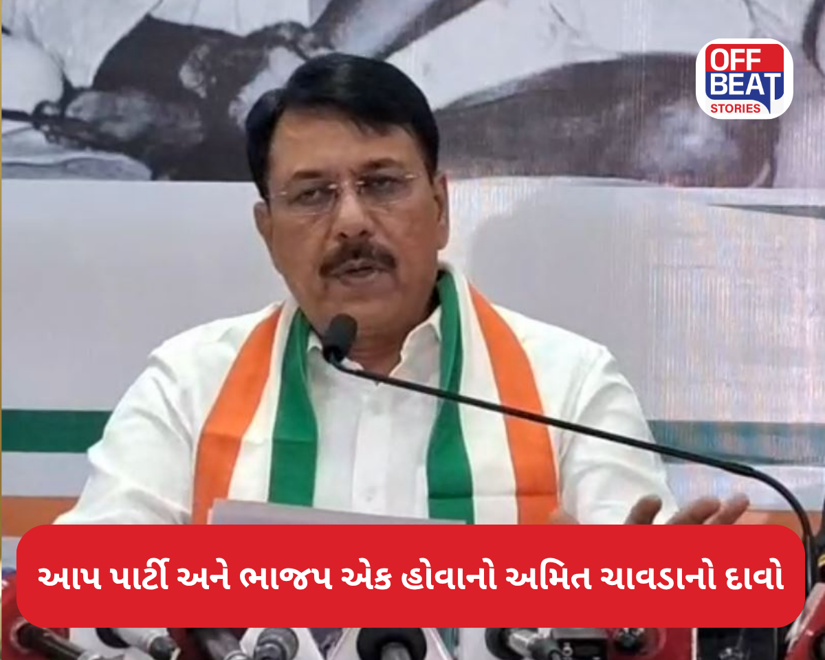 'આપ પાર્ટી અને ભાજપ RSSનાં ફંડથી ચાલે છે'...