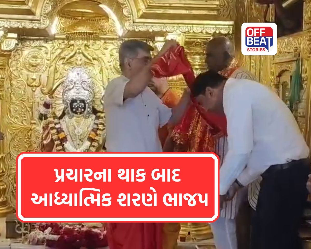 ચૂંટણી પ્રચાર પૂરો થતા જ ભાજપ નેતાઓ નગરદેવીના શરણે