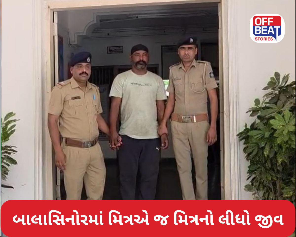 બાલાસિનોરમાં મિત્રએ જ મિત્રનો લીધો જીવ