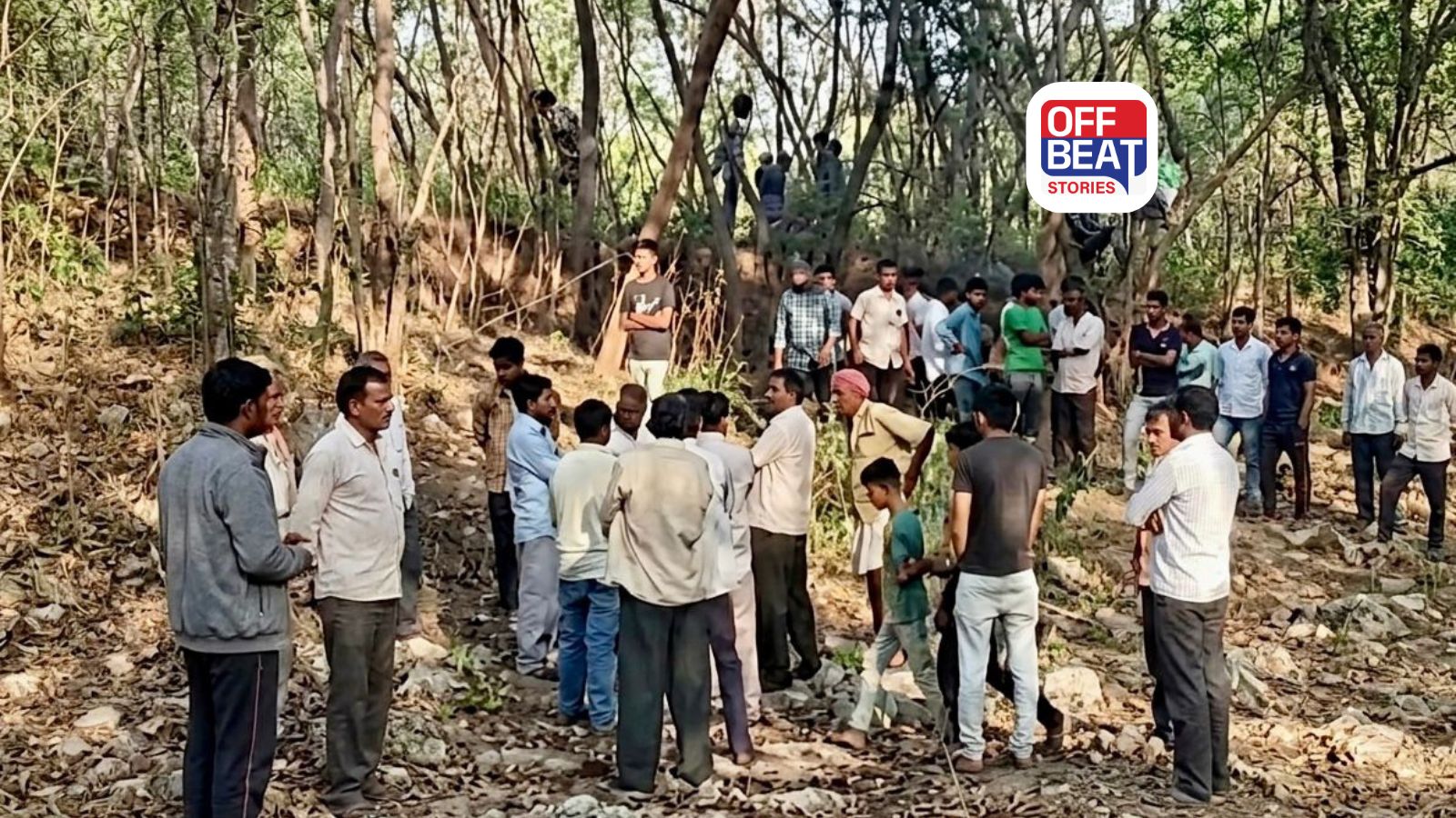 છોટાઉદેપુરમાં હુમલાખોરોએ અત્યંત ક્રૂરતાથી જીવ લીધો!