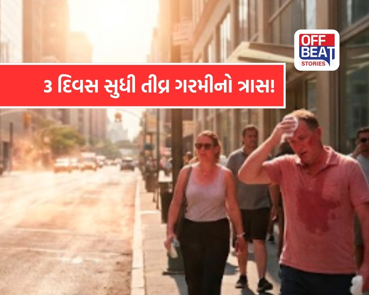 ભારતમાં હીટવેવનો પ્રકોપ ચરમસીમાએ!