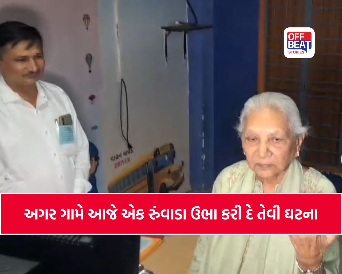 શીલજમાં દેખાયો લોકશાહી પ્રત્યેનો ઉત્સાહ