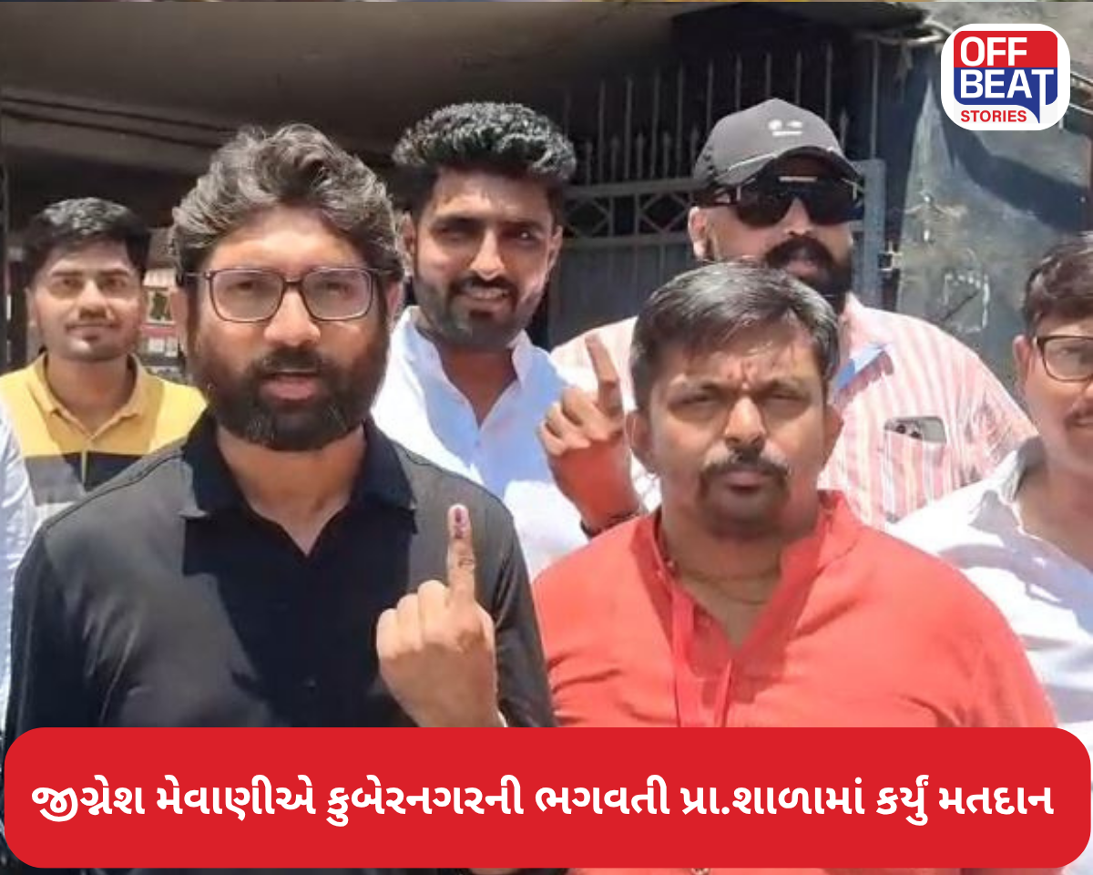 વડગામનાં ધરાસભ્યએ અમદાવાદમાં કર્યું મતદાન