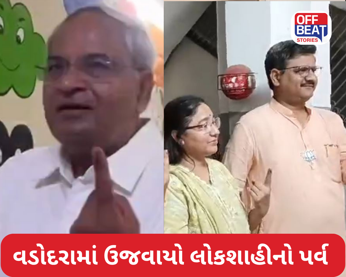 વડોદરામાં ઉજવાયો લોકશાહીનો પર્વ