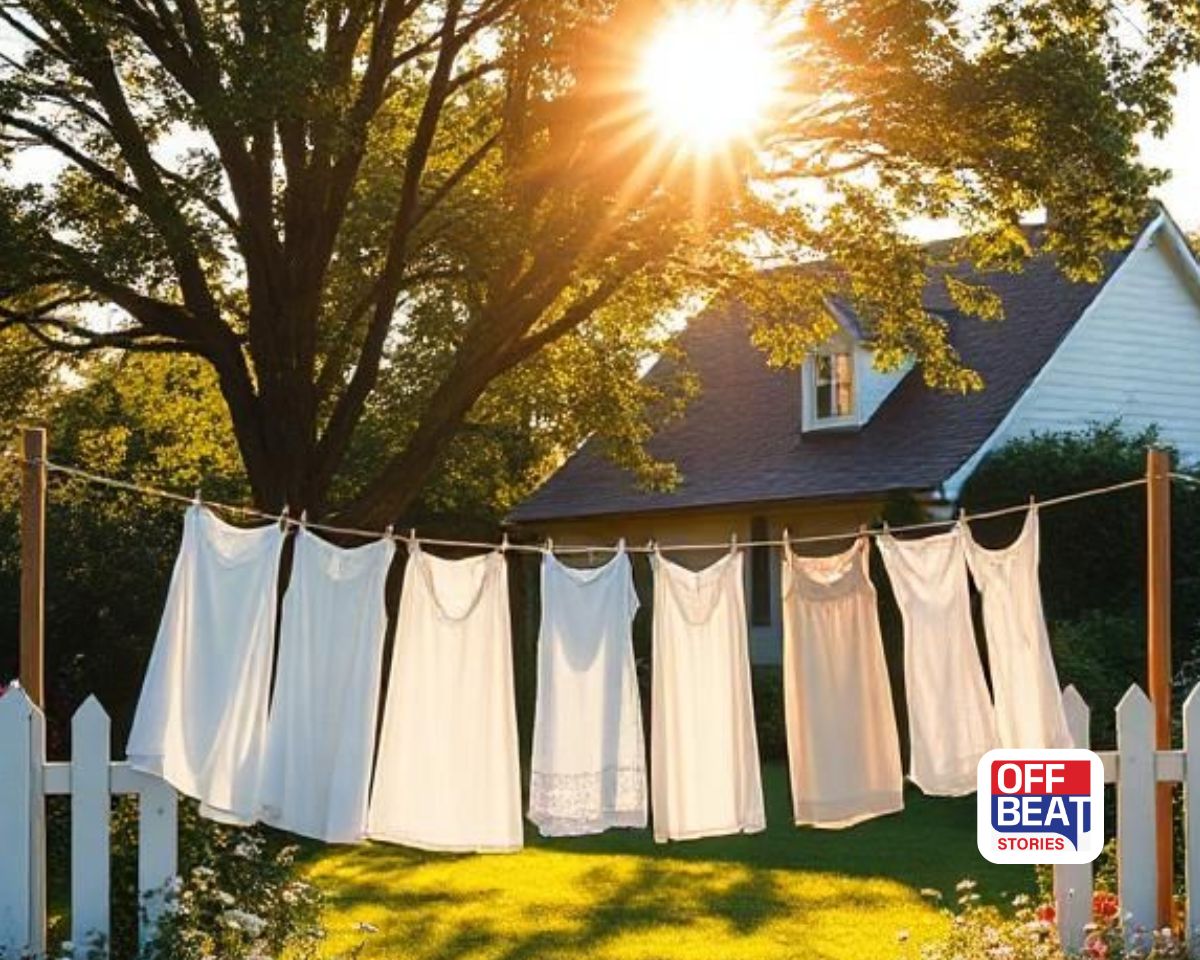 ઉનાળાના કઠોર તડકામાં પણ કપડાંનો રંગ નહીં પડે ઝાંખો!