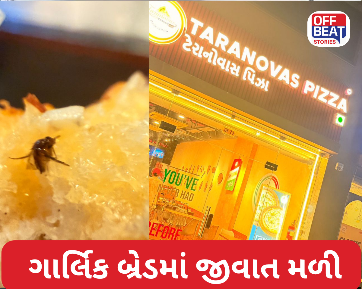 અમદાવાદમાં ગાર્લિક બ્રેડમાં જીવાત મળ્યાનો આક્ષેપ