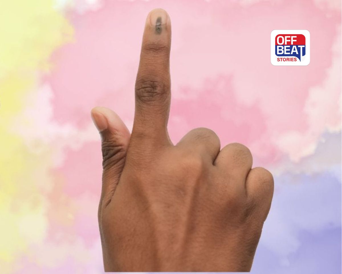 ગુજરાત સ્થાનિક સ્વરાજની ચૂંટણીનું ગણિત