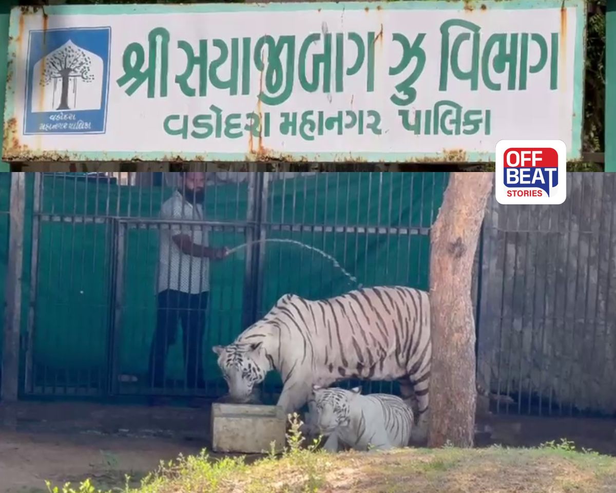 વડોદરામાં આભમાંથી વરસી રહી છે ‘અગનજ્વાળા’