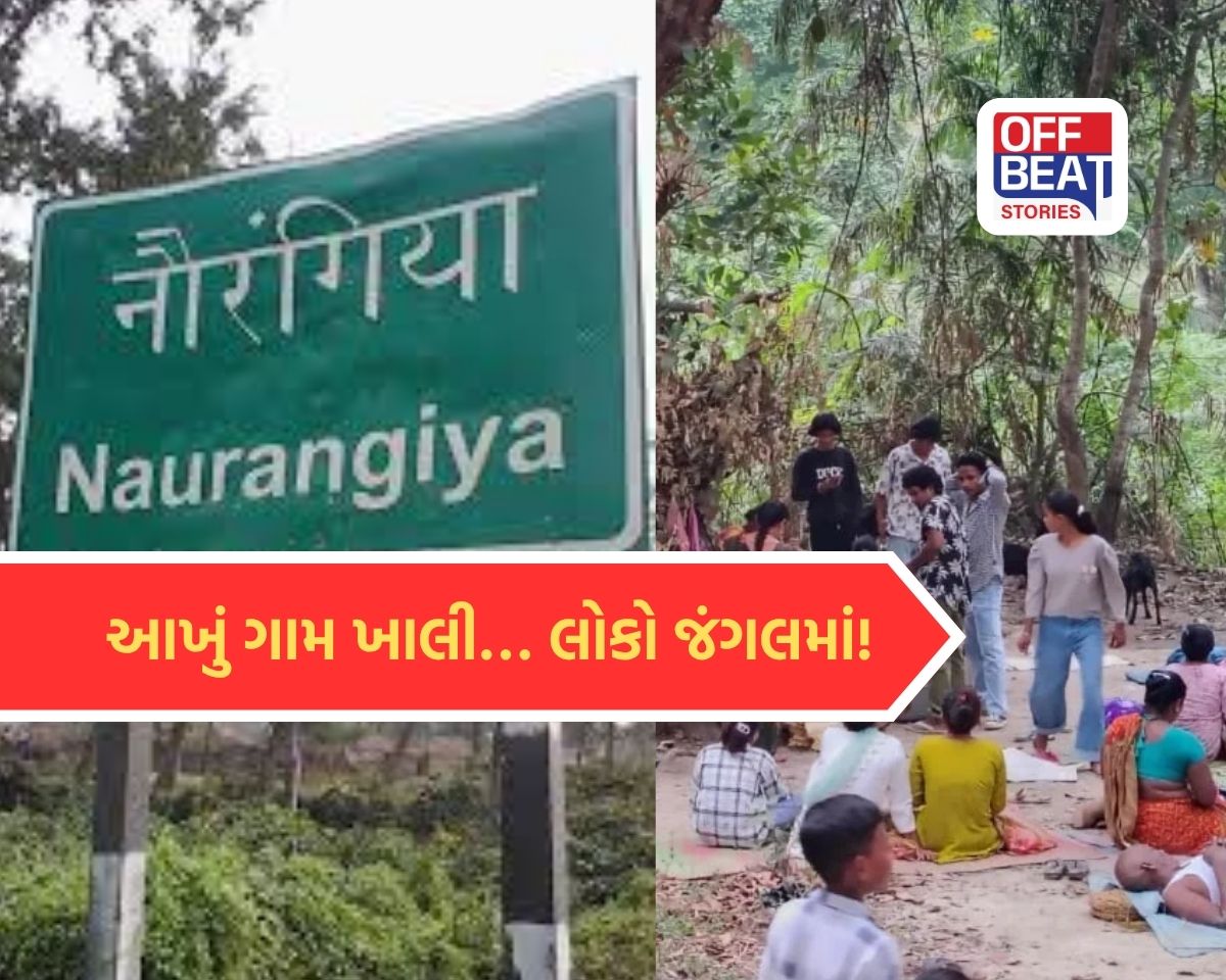 ભારતનું એક અનોખું રહસ્યમય ગામ!