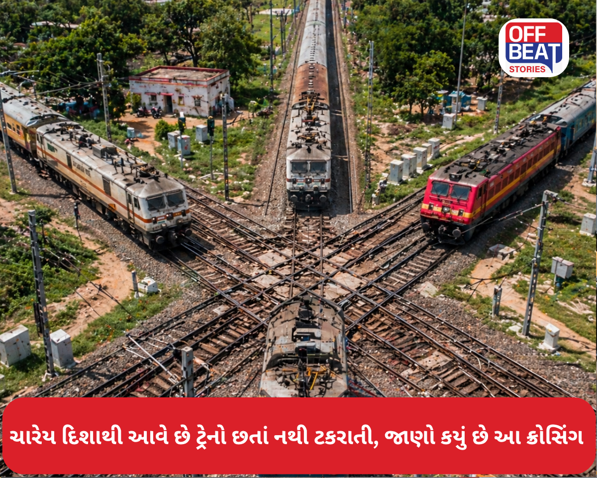 રેલવે એન્જિનિયરિંગનો અદ્દભુત નમૂનો