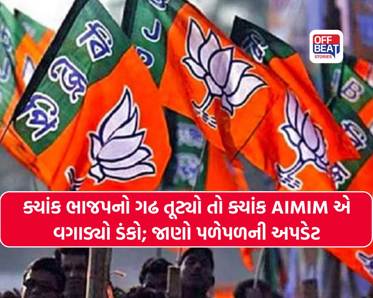 મતગણતરી વચ્ચે રસપ્રદ બન્યા ગુજરાતના પરિણામો