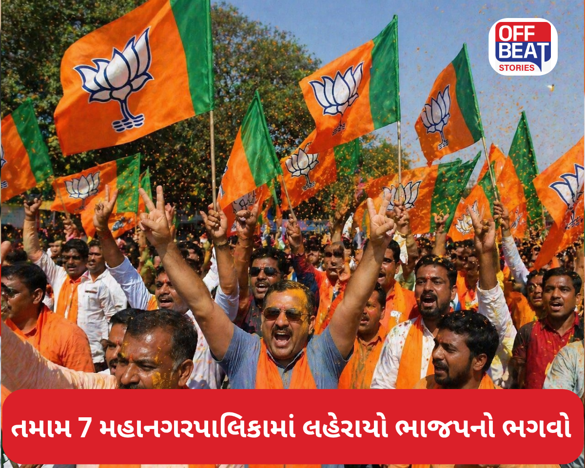 શહેરોમાં ભાજપની ક્લીન સ્વીપ