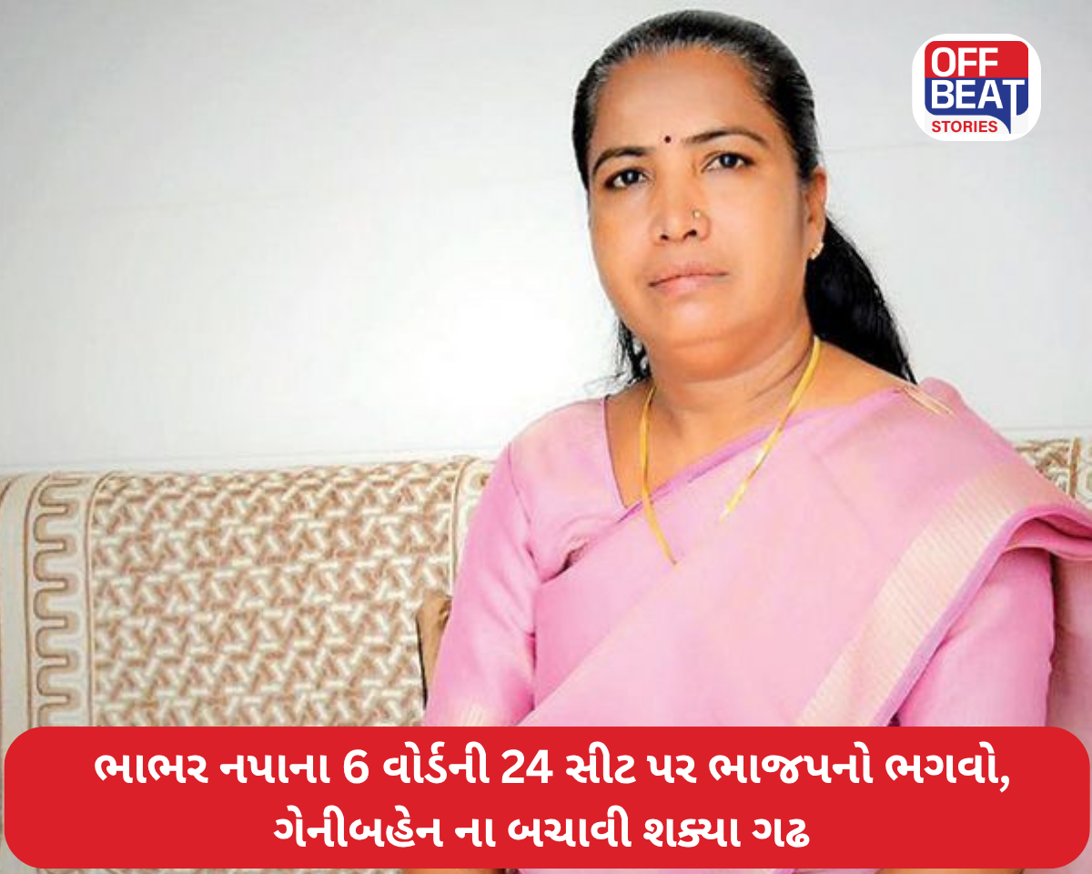 ભાભર નગરપાલિકાના કુલ 6 વોર્ડની 24 સીટ ઉપર ભાજપનો ભગવો