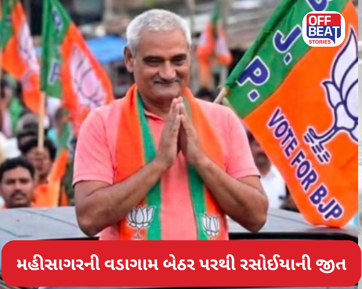 મહીસાગરની વડાગામ બેઠર પરથી રસોઈયાની જીત