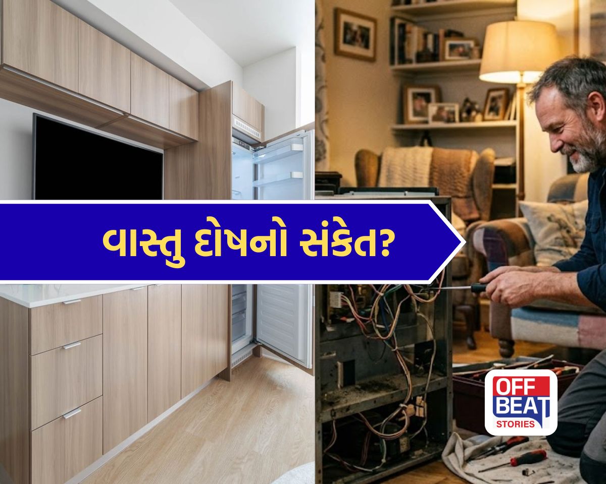 શું તમારા ઘરમાં વારંવાર બગડે છે ટીવી-ફ્રિજ?