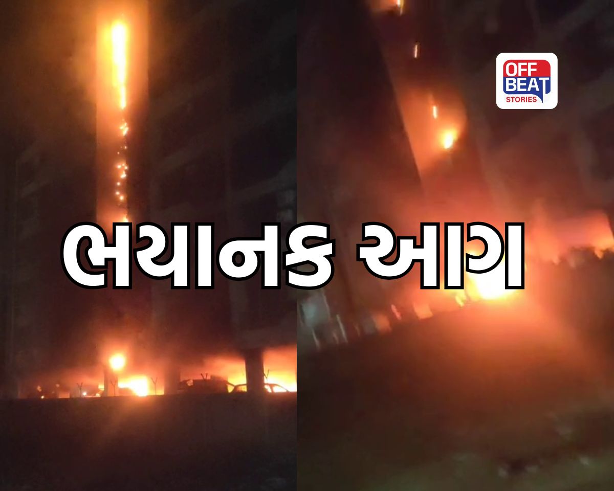 NH-48 પર આવેલી 'VR વન' બિલ્ડિંગમાં ભીષણ આગ