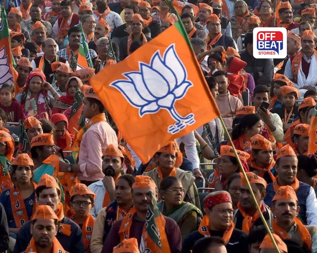 વડોદરા મનપામાં ભાજપના ભવ્ય વિજય બાદ હવે 'તાજ' માટે કવાયત