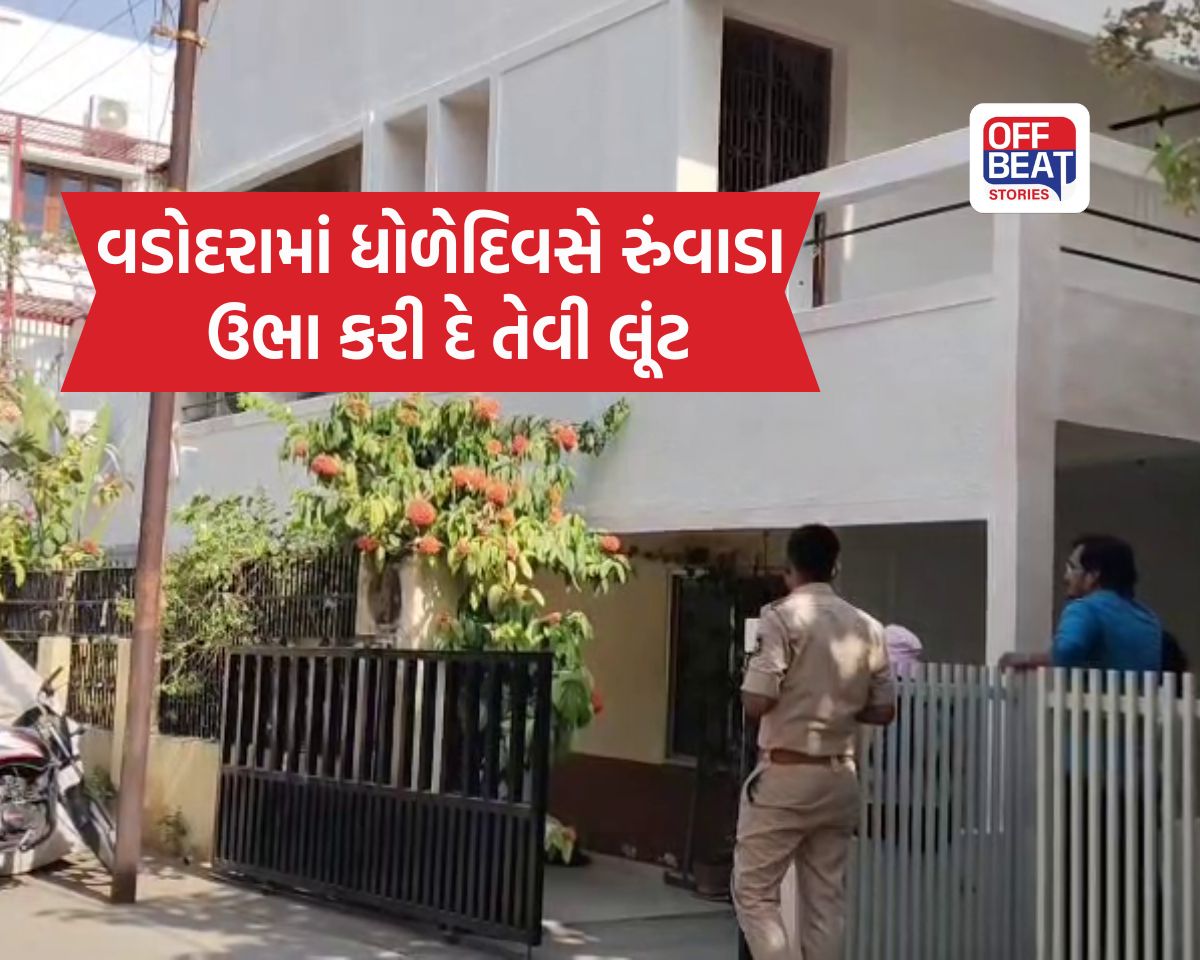 વડોદરામાં ધોળેદિવસે રુંવાડા ઉભા કરી દે તેવી લૂંટ