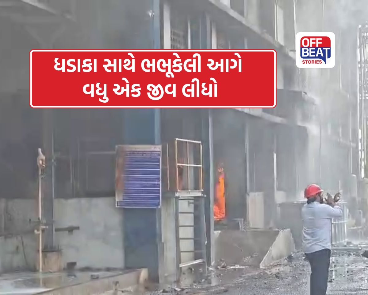 ઝઘડિયામાં આગનું તાંડવ