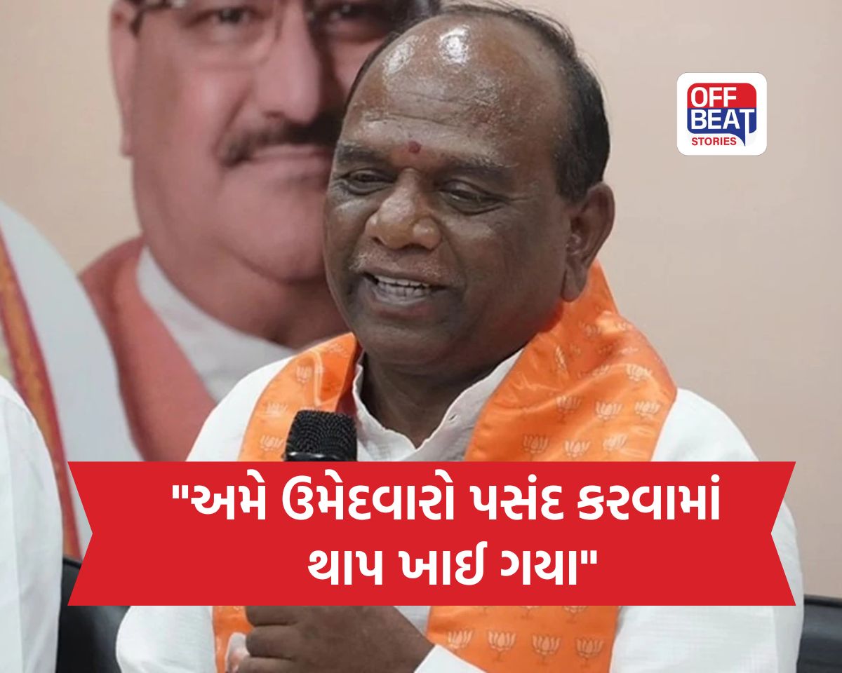 "આદિવાસી વિસ્તારમાં 'ઉધઈ'ની જેમ પેસી ગઈ છે 'AAP',