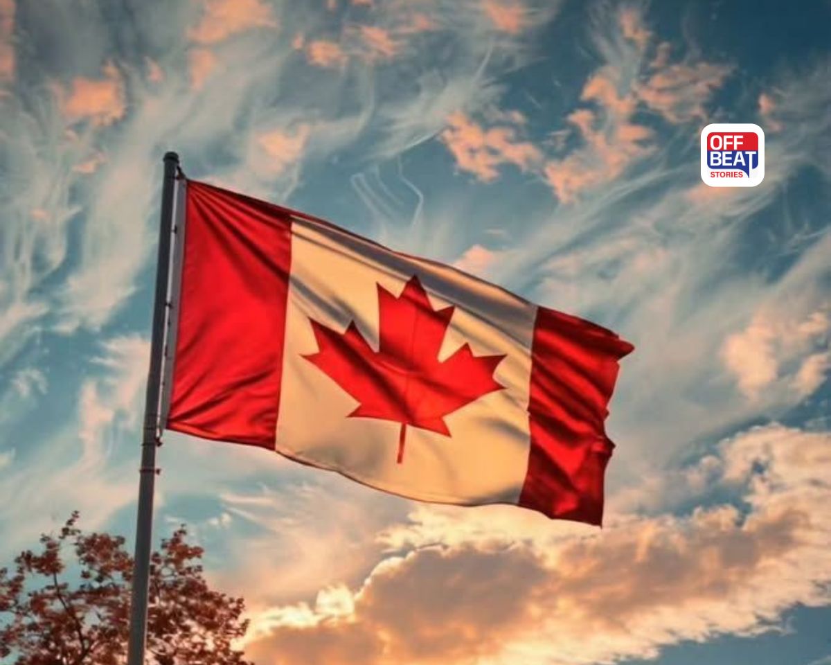 કેનેડામાં વિઝા કડક થયા