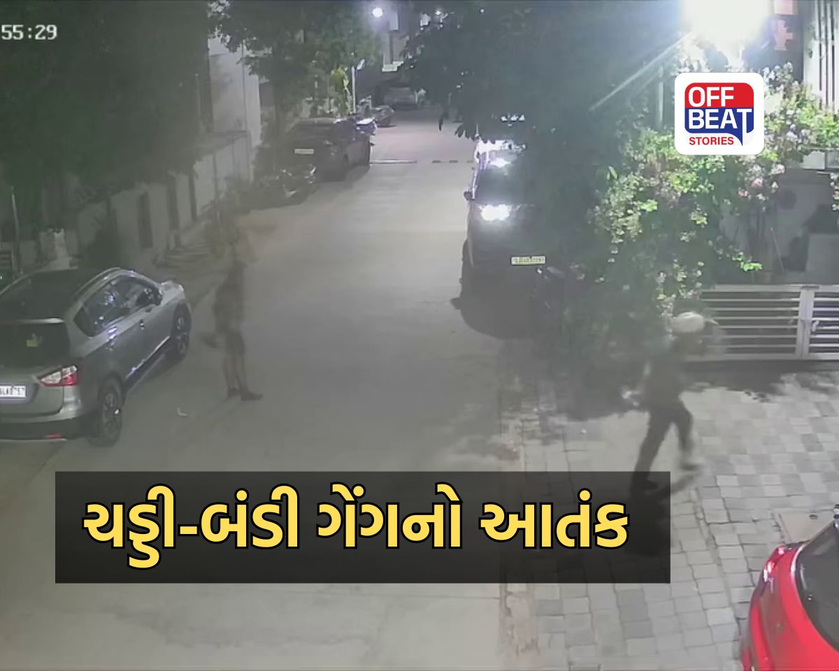 વડોદરામાં ચડ્ડી-બંડી ગેંગનો આતંક