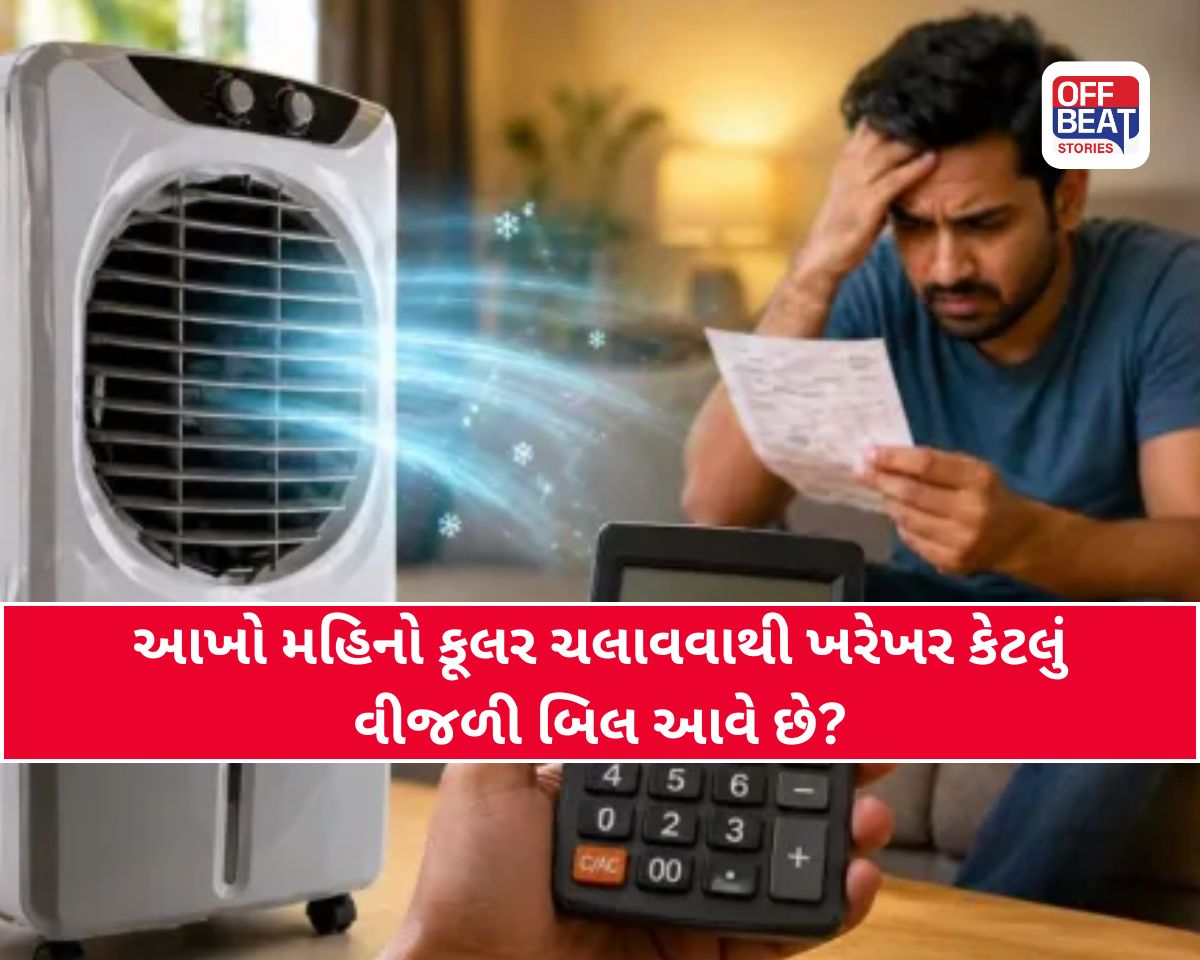 એક રાતમાં કેટલી વીજળી વાપરે છે કુલર?