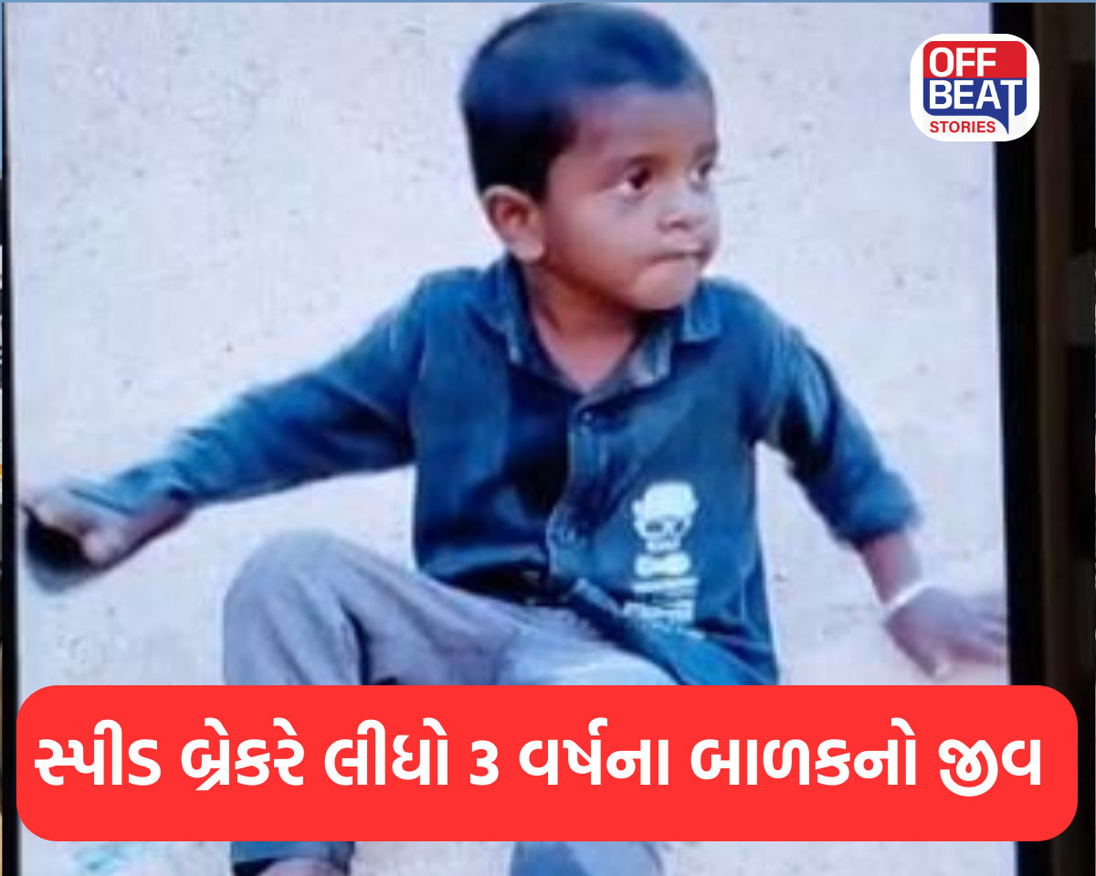 સ્પીડ બ્રેકરે લીધો 3 વર્ષના બાળકનો જીવ