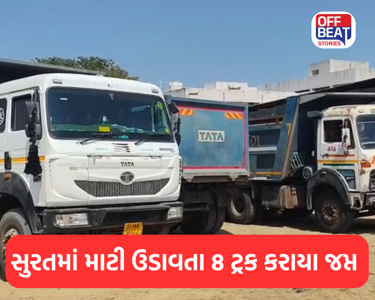 મંત્રી પ્રફુલ પાનસેરીયાના આદેશ બાદ કાર્યવાહી