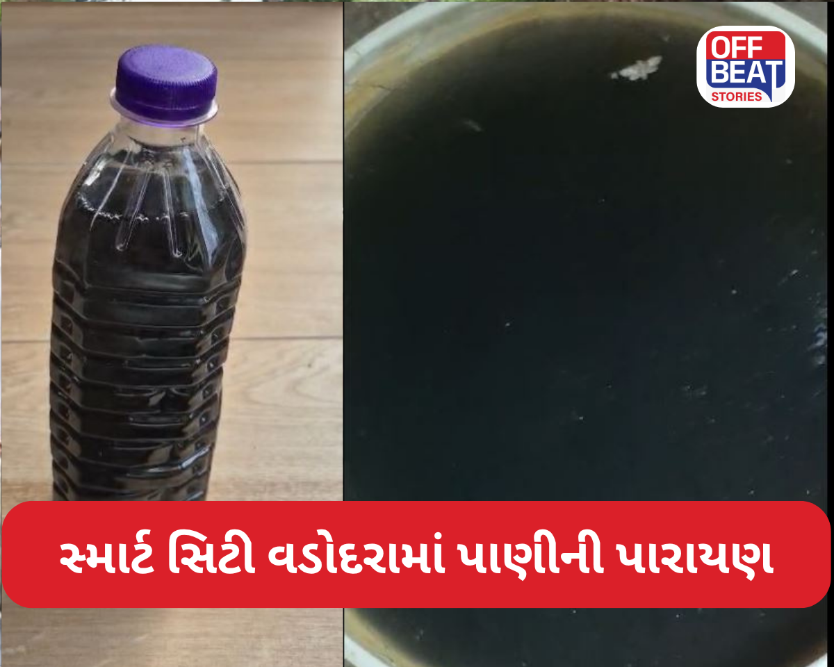 સ્માર્ટ સિટી વડોદરામાં પાણીની પારાયણ