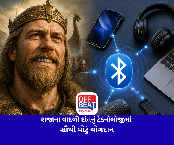 એક રાજાના વાદળી દાંતનું ટેકનોલોજીમાં સૌથી મોટું યોગદાન