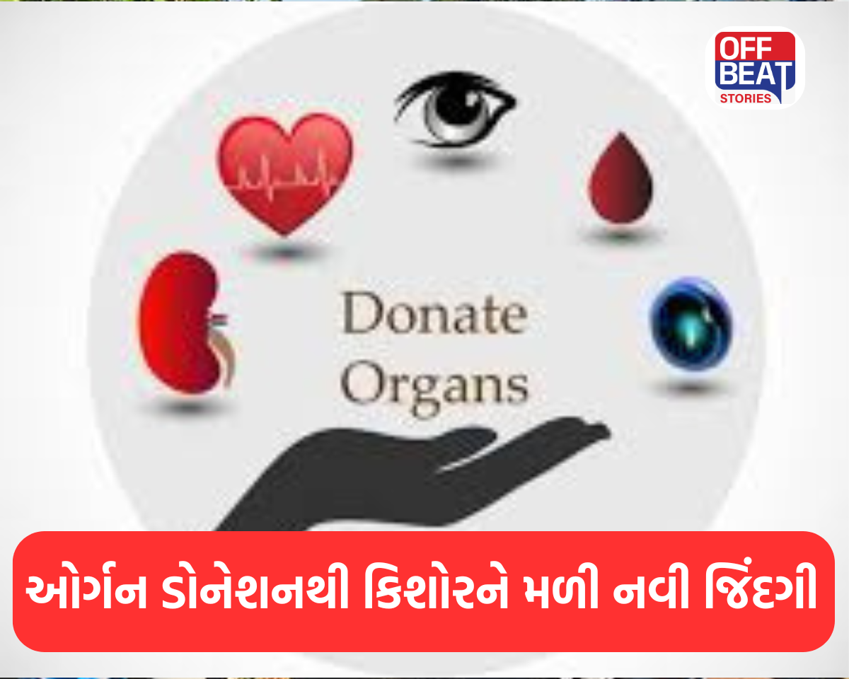 ઓર્ગન ડોનેશનથી કિશોરને મળી નવી જિંદગી