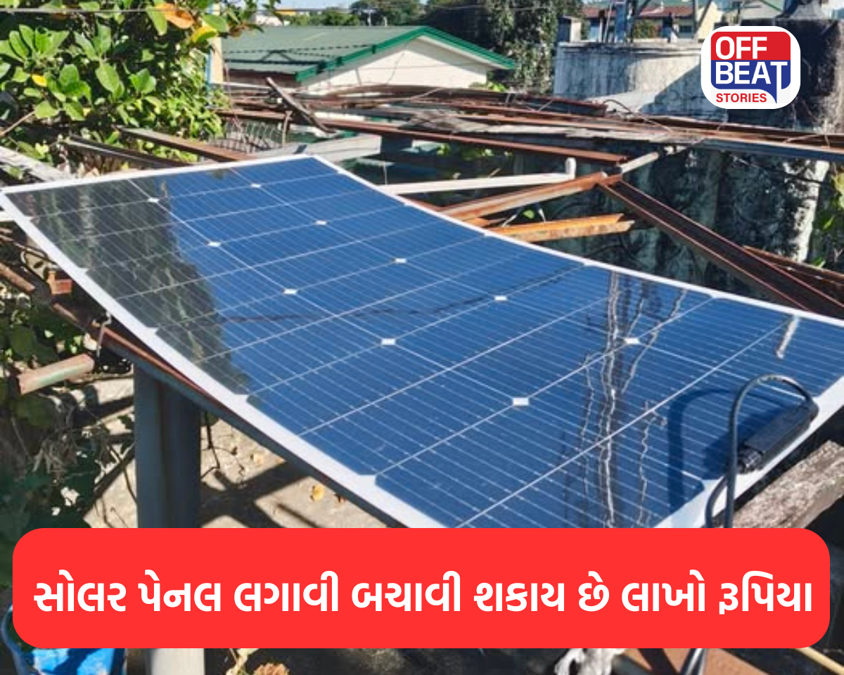 બાજુવાળાનું બિલ ‘ઝીરો’ જોઈ ગુજરાતીઓએ લગાવી સોલર પેનલ!
