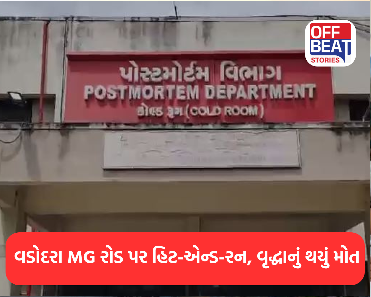 વડોદરા MG રોડ પર હિટ-એન્ડ-રન