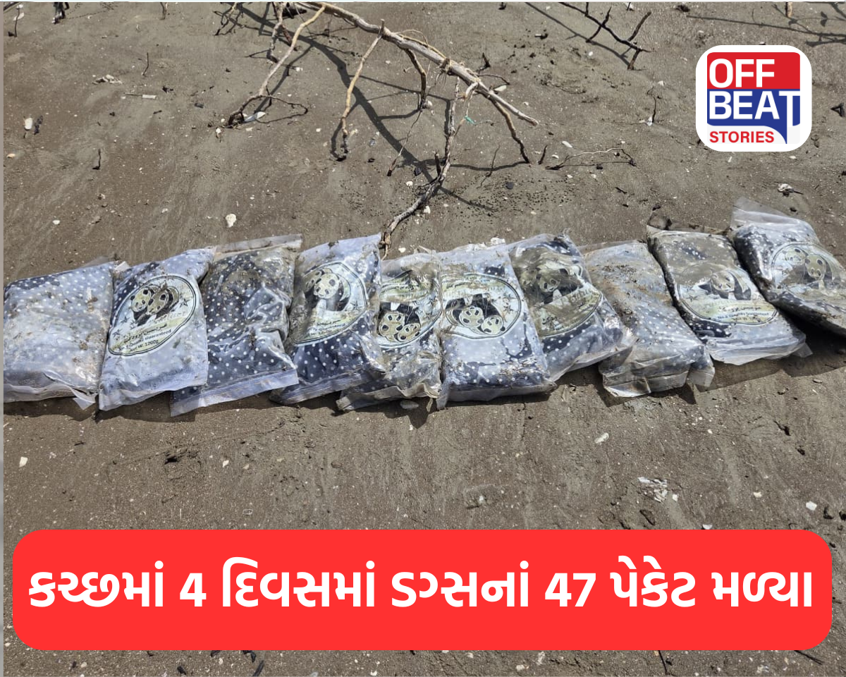 કચ્છમાં સતત ડ્રગ્સ મળતાં ચિંતા વધી