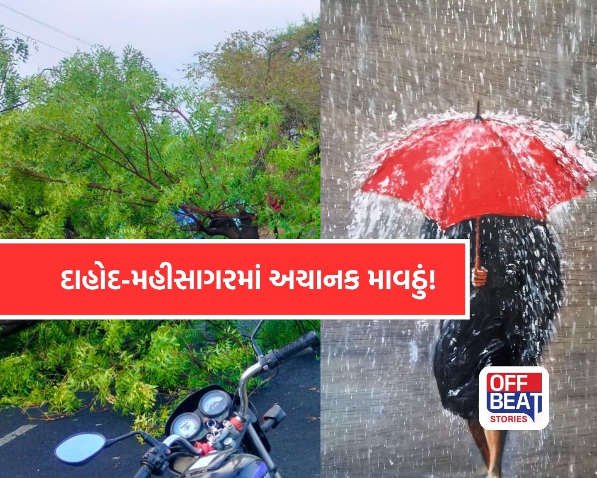 દાહોદ-મહીસાગરમાં ગાજવીજ સાથે માવઠું!