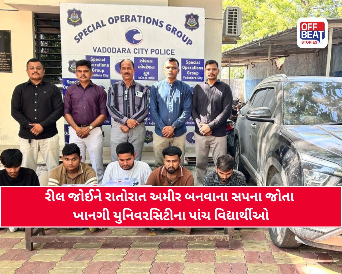 રીલ જોઈને ‘ડબલ પૈસા’ના ચક્કરમાં ફસાયા વિદ્યાર્થીઓ