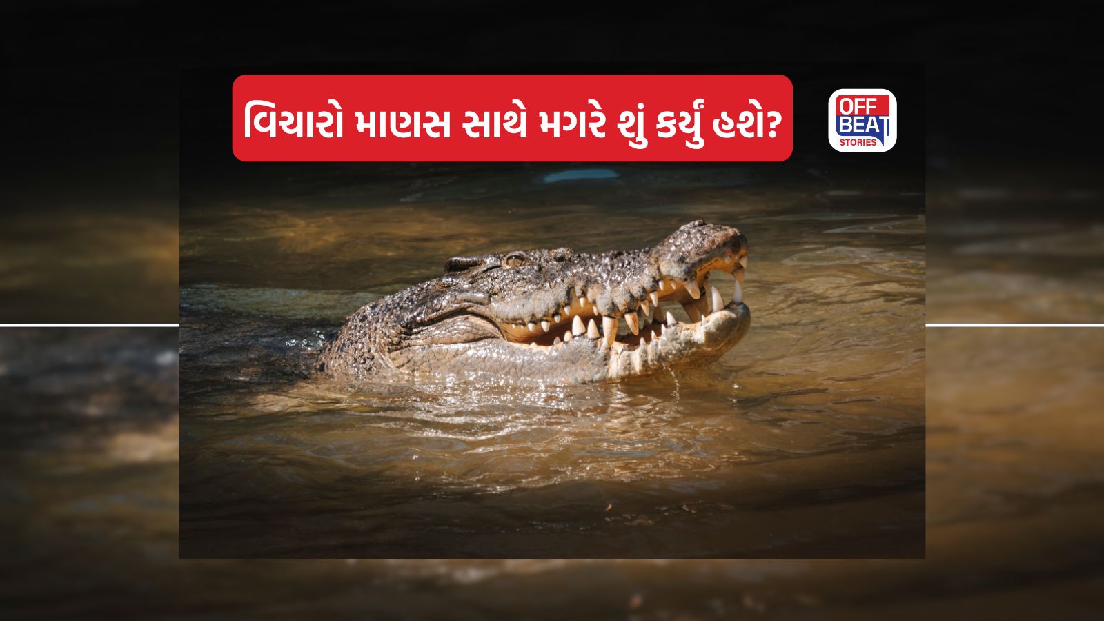 પૂરમાં લાપતા થયો શખ્સ