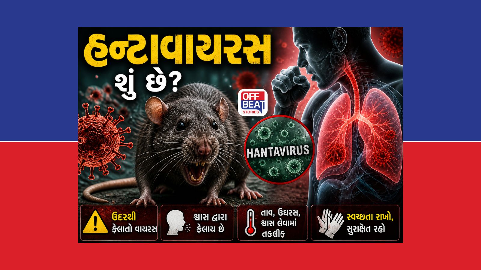 ઘરમાં ઉંદર હોય તો ચેતી જજો! ફેલાઈ રહ્યો છે Hantavirus નો ખૌફ