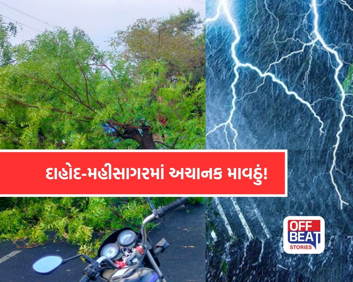 દાહોદ-મહીસાગરમાં ગાજવીજ સાથે માવઠું!