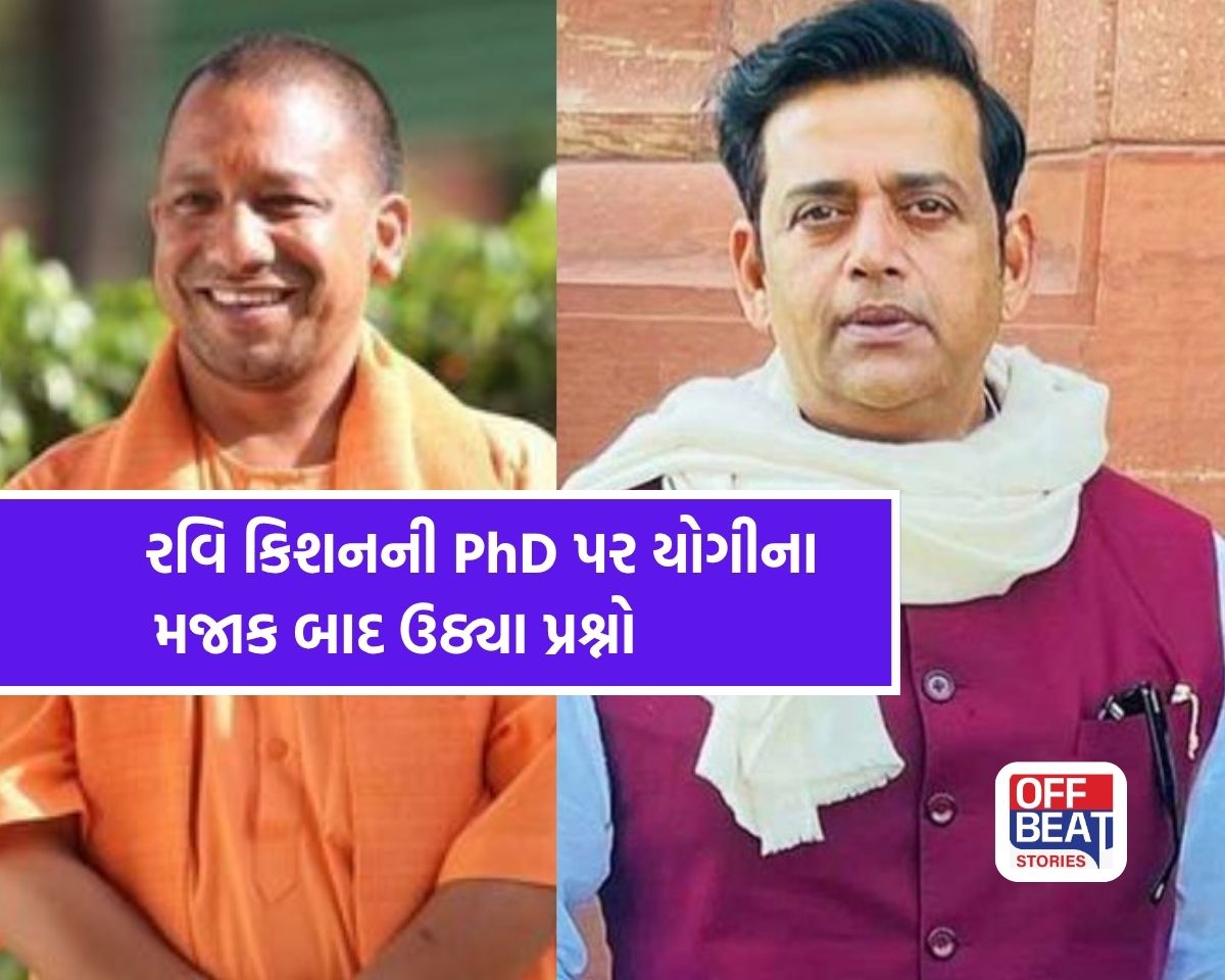 "આ ડિગ્રી ગળામાં લટકાવવા માટે હોય છે?"